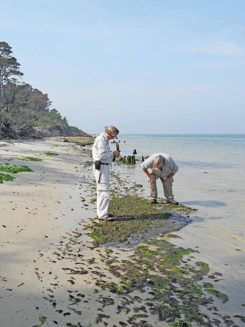 Archaeologists on VA's Eastern Shore